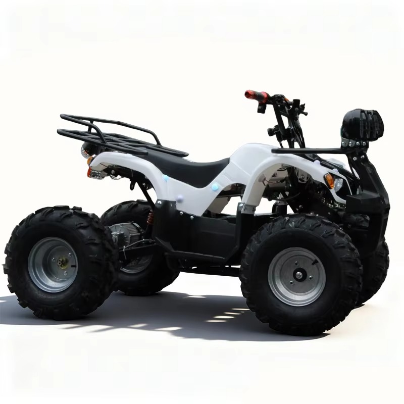 750W 48V Elektryczny quad dla  – Kids Outdoor Quad Bike recenzja i cena